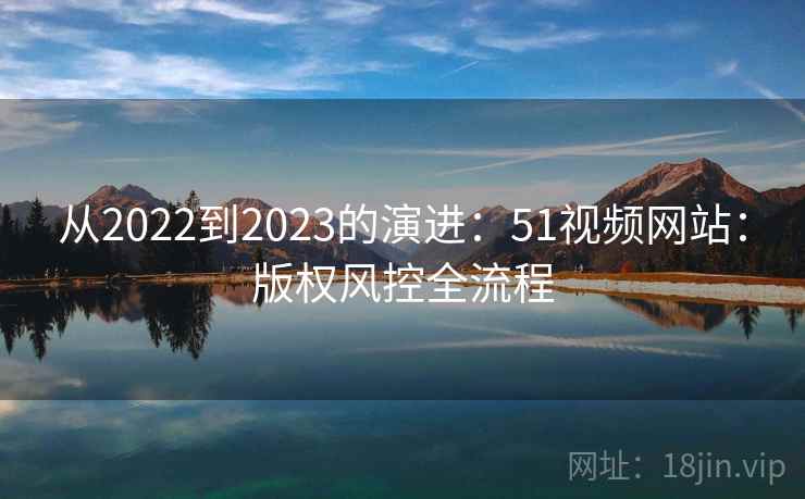 从2022到2023的演进：51视频网站：版权风控全流程