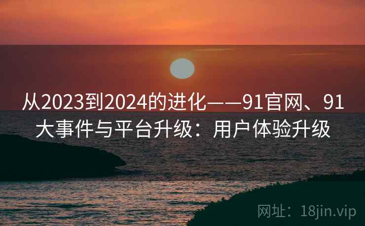 从2023到2024的进化——91官网、91大事件与平台升级：用户体验升级