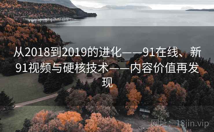 从2018到2019的进化——91在线、新91视频与硬核技术——内容价值再发现