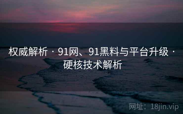 权威解析 · 91网、91黑料与平台升级 · 硬核技术解析