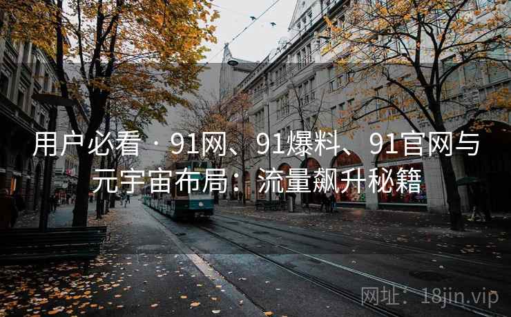 用户必看 · 91网、91爆料、91官网与元宇宙布局：流量飙升秘籍