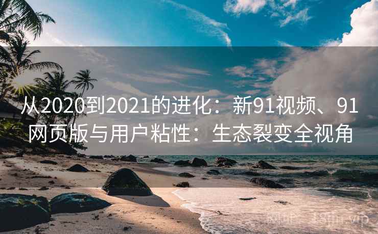从2020到2021的进化：新91视频、91网页版与用户粘性：生态裂变全视角