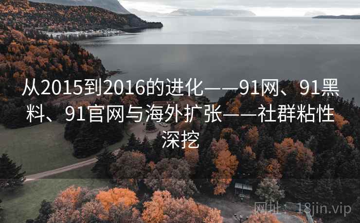 从2015到2016的进化——91网、91黑料、91官网与海外扩张——社群粘性深挖