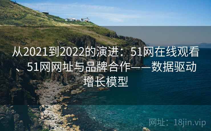 从2021到2022的演进：51网在线观看、51网网址与品牌合作——数据驱动增长模型