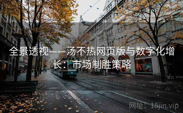 全景透视——汤不热网页版与数字化增长：市场制胜策略