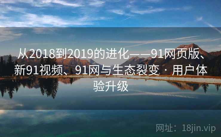 从2018到2019的进化——91网页版、新91视频、91网与生态裂变 · 用户体验升级