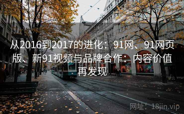 从2016到2017的进化：91网、91网页版、新91视频与品牌合作：内容价值再发现