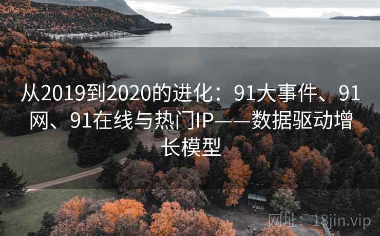 从2019到2020的进化：91大事件、91网、91在线与热门IP——数据驱动增长模型