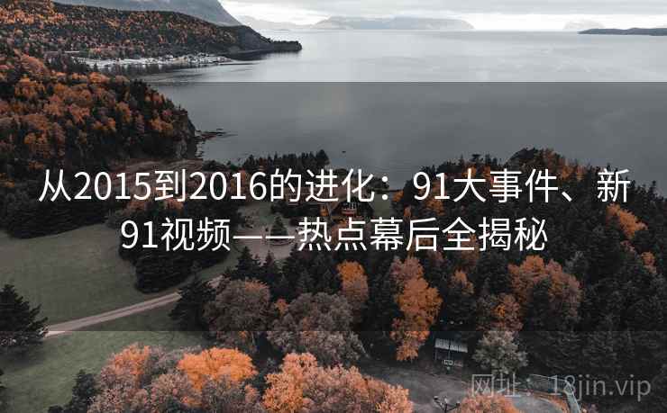 从2015到2016的进化：91大事件、新91视频——热点幕后全揭秘